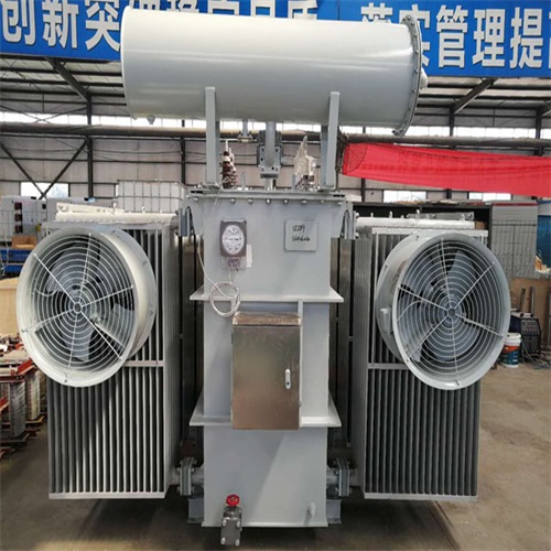 青龙10KV油浸式变压器